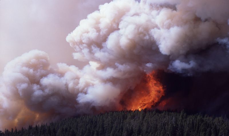 Mirror Plateau in flames, Summer 1988. Source: NPS Photo archives.