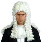 Judges Wig White Adult